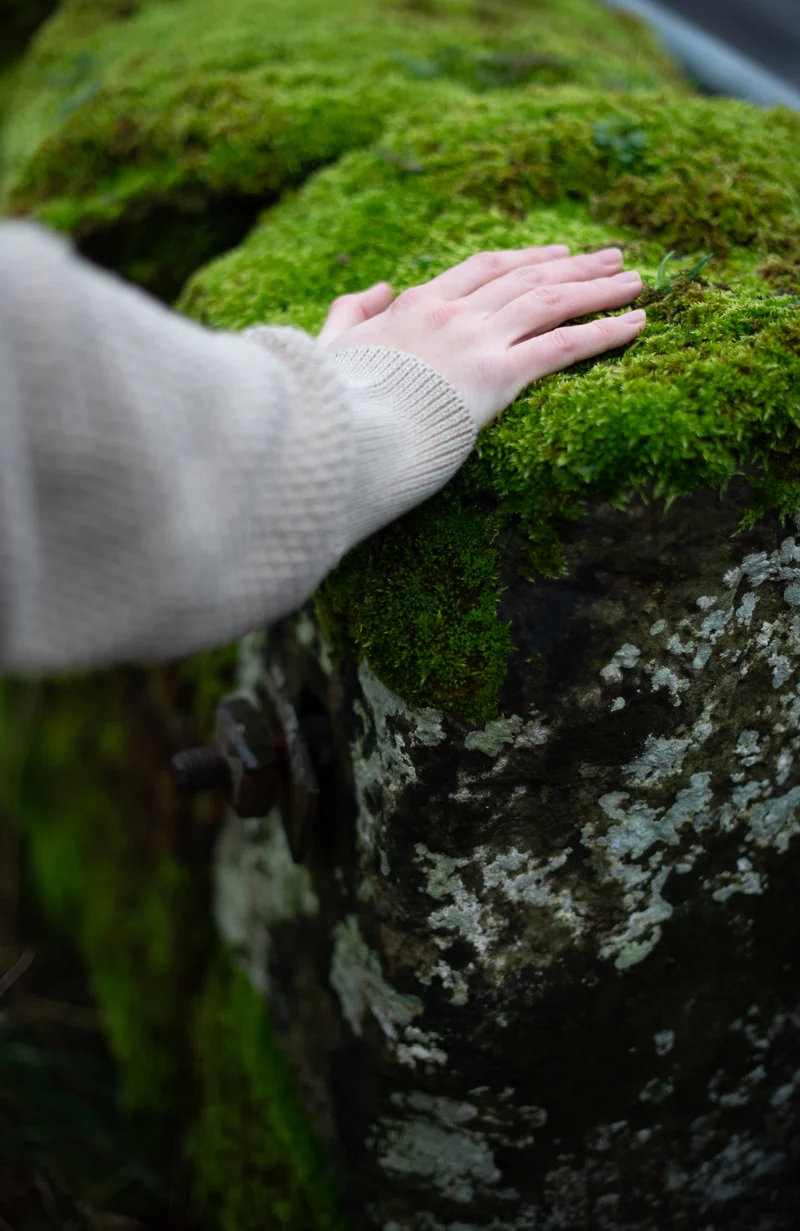 Womens Midweight Cotton Moss Stitch Jumper