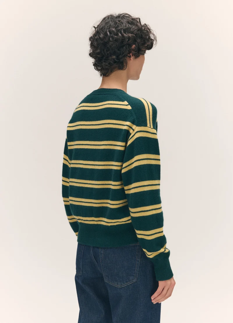 Ada Crewneck Cardigan in Holly/Yellow Stripe
