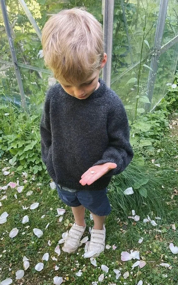 Hanstholm Sweater Junior - PEER GYNT - Strickset