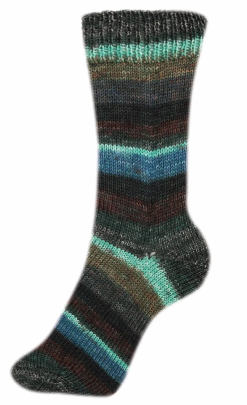Fortissima bunte 4-fach Sockenwolle | Farbe 2499 - PFLAUME
