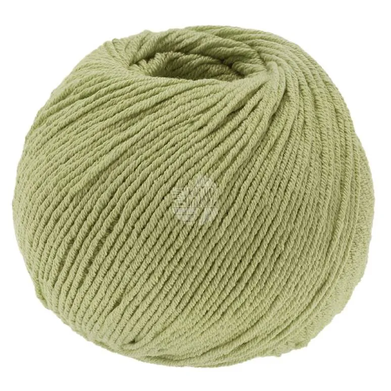 ELASTICO