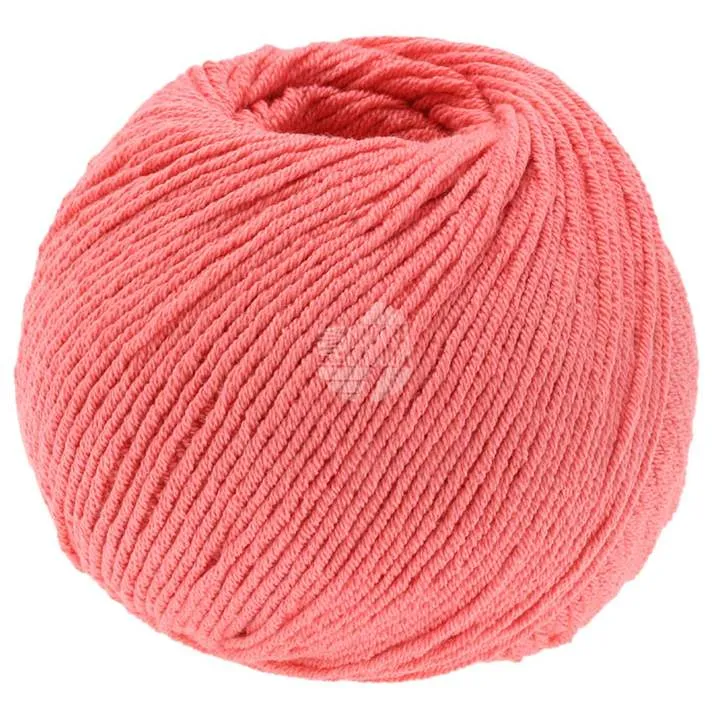 ELASTICO