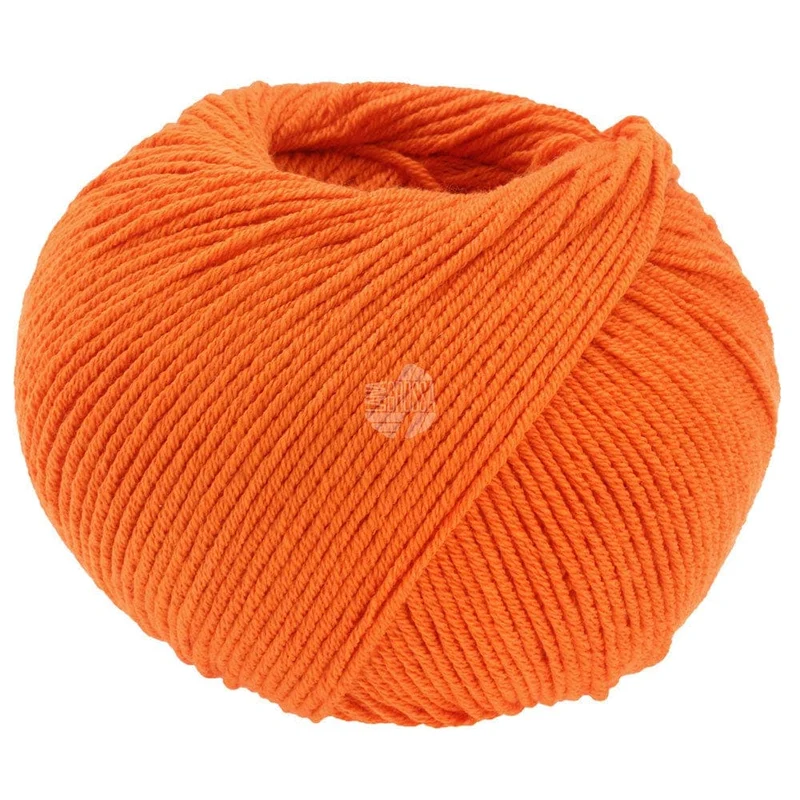 ELASTICO