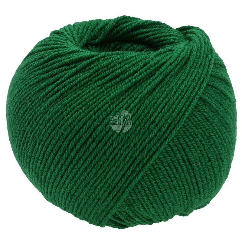ELASTICO