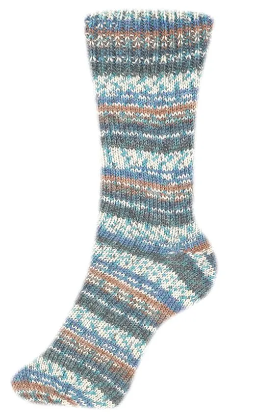 Fortissima bunte 4-fach Sockenwolle | Farbe 2490 - EICHELHAEHER