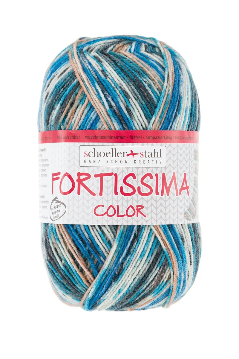 Fortissima bunte 4-fach Sockenwolle | Farbe 2490 - EICHELHAEHER