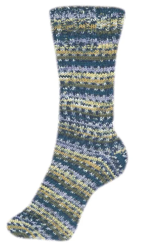 Fortissima bunte 4-fach Sockenwolle | Farbe 2491 - COUNTRY