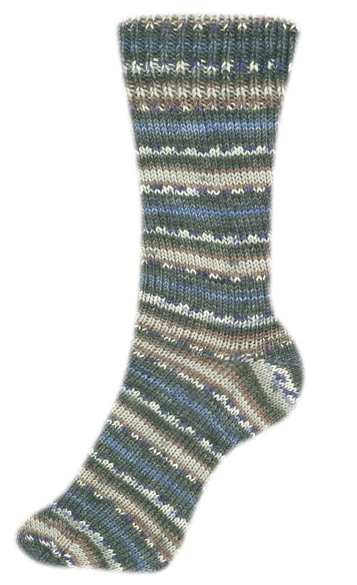 Fortissima bunte 4-fach Sockenwolle | Farbe 2484 - FARMER