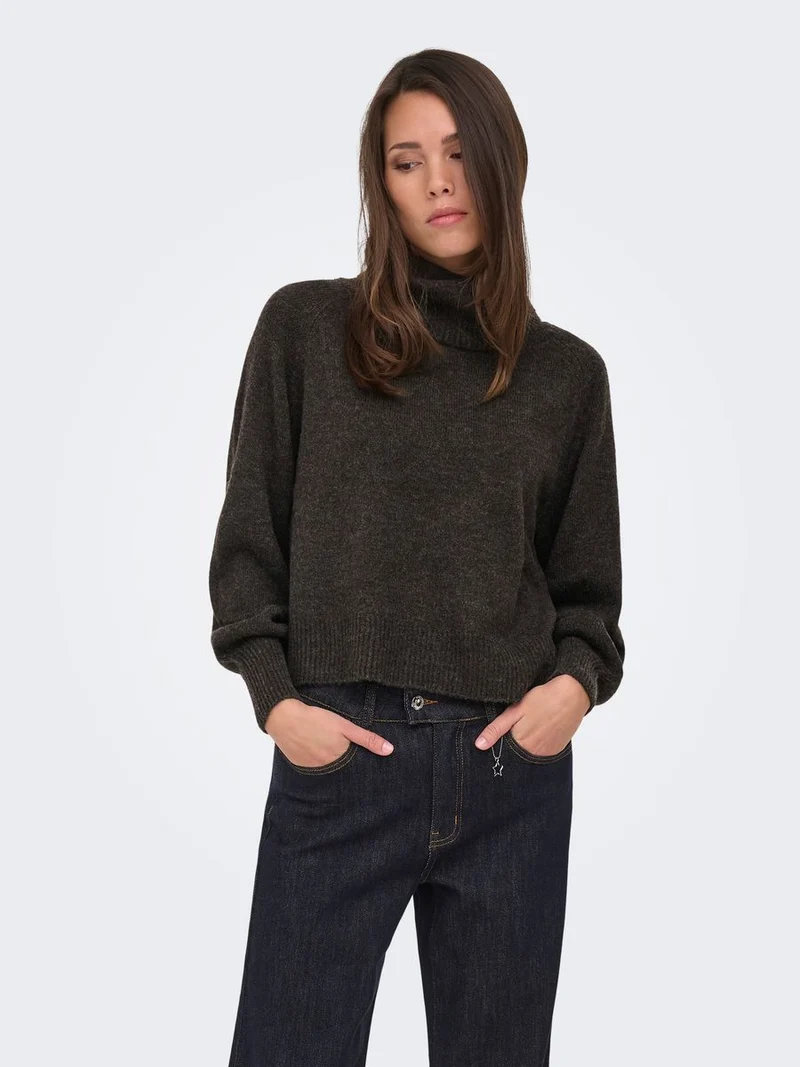 ONLOLIVIA LS ROLL NECK CC KNT