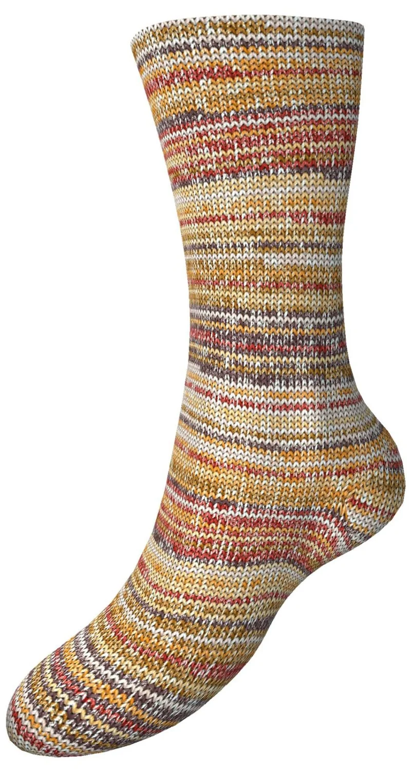 Fortissima 8-fach bunte Sockenwolle 150g | Farbe 808 - HASELNUSS