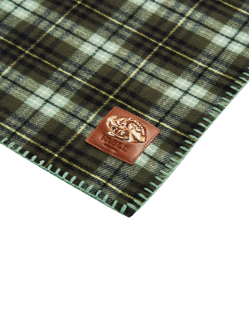 Check Hooded Scarf in Green