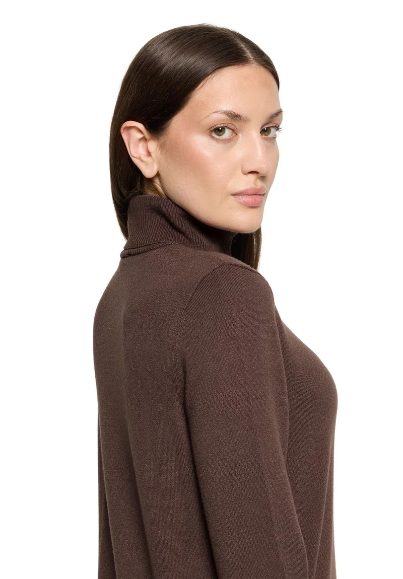 Rollkragenpullover