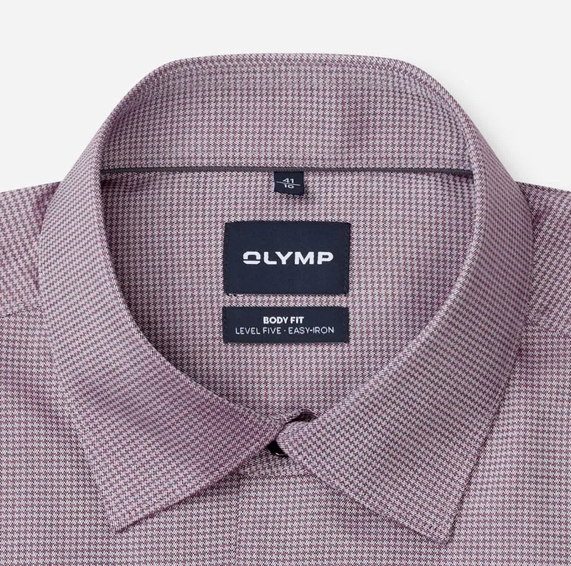 OLYMP Level Five