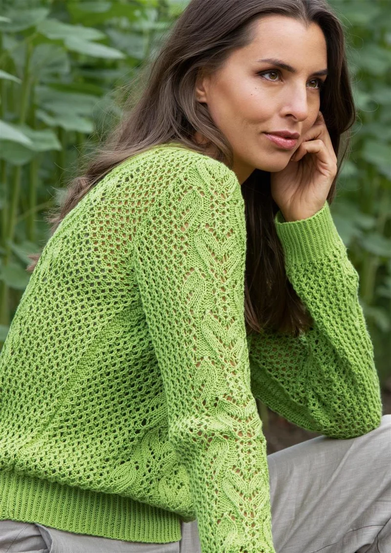 Pullover Ranken