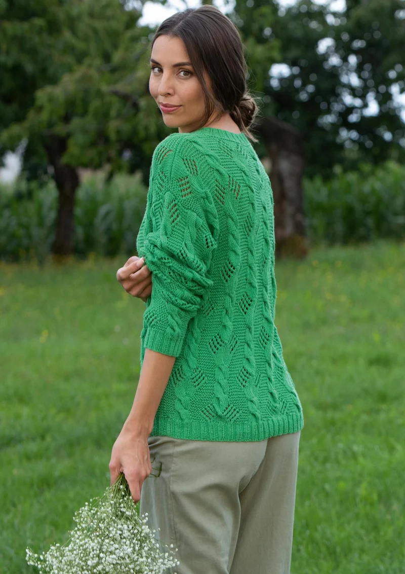 Pullover Farnwedel