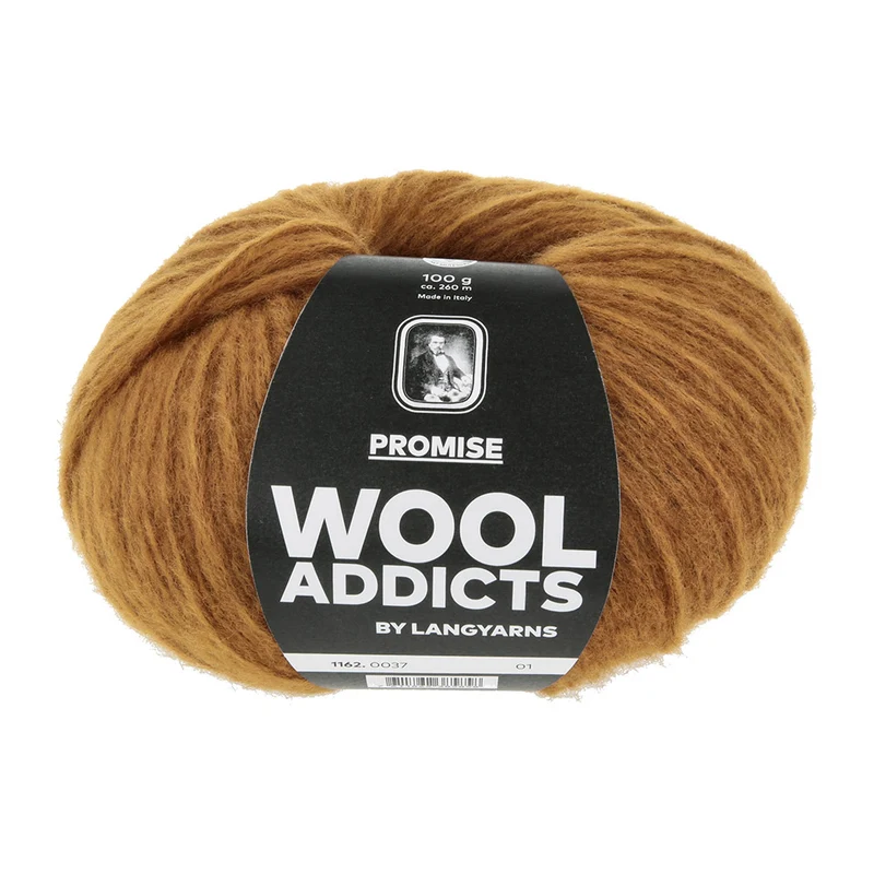 Lang Yarns Promise 0037 Omber