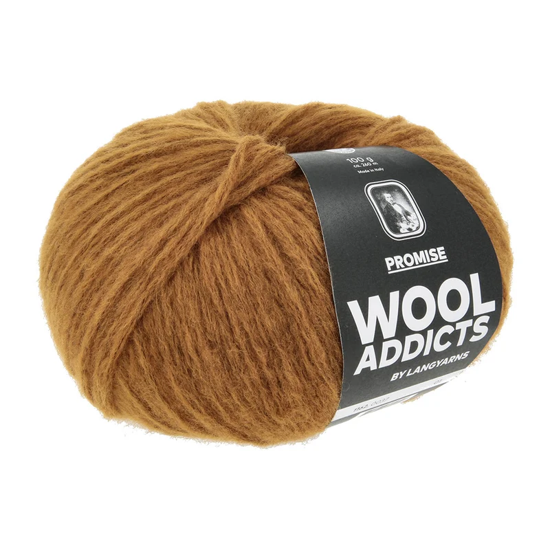 Lang Yarns Promise 0037 Omber