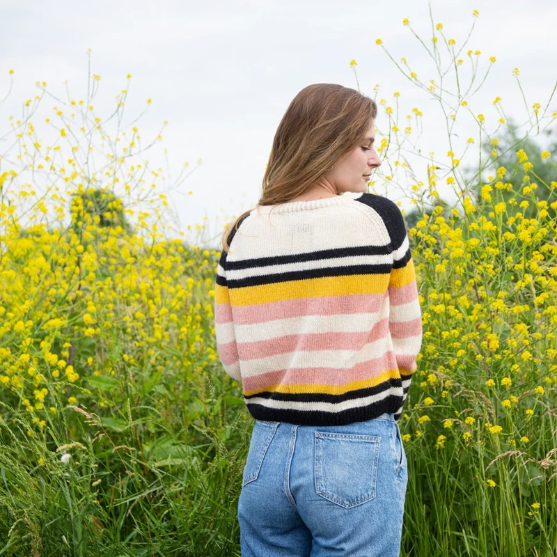 Strickanleitung „Ecopuno“ – Grafischer Raglanpullover
