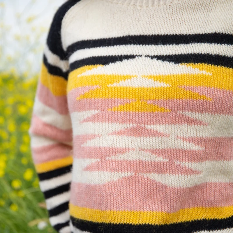 Strickanleitung „Ecopuno“ – Grafischer Raglanpullover