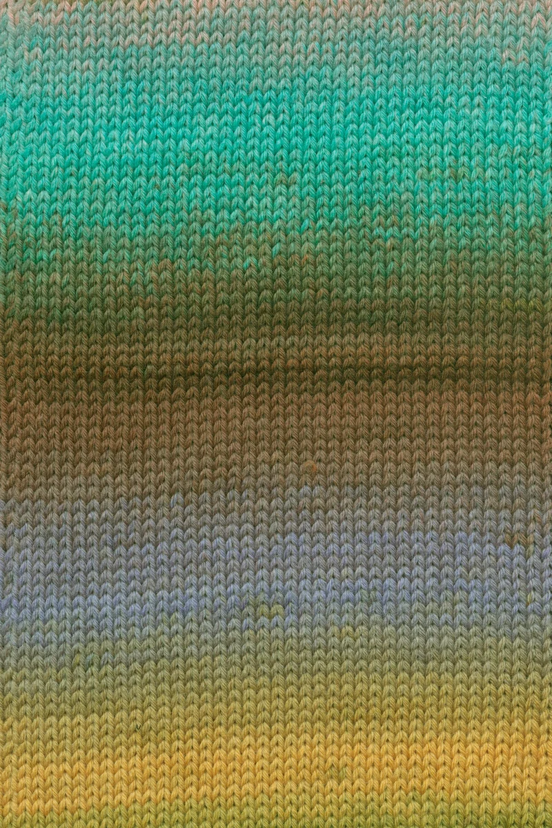 Lang Yarns Move 6-fach/6-Ply 0013 Blau/Grün/Orange/Flieder