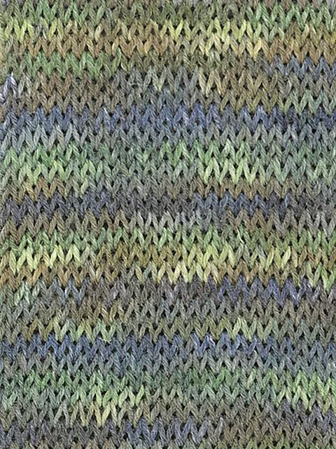 Step 6 Color EXP | 6-fach Sockenwolle | Farbe: 614 - KROKODIL