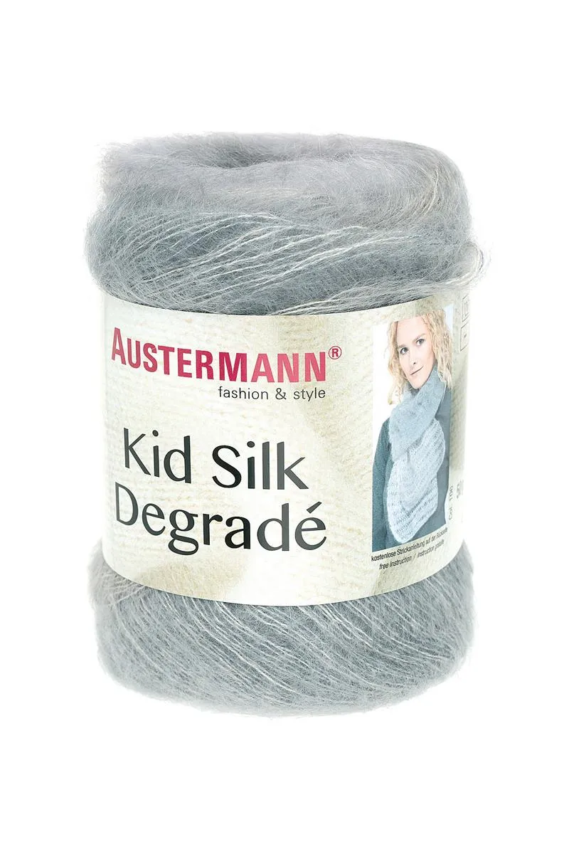 Kid Silk Degradee | 425 M - 50 G | 106 - Silber