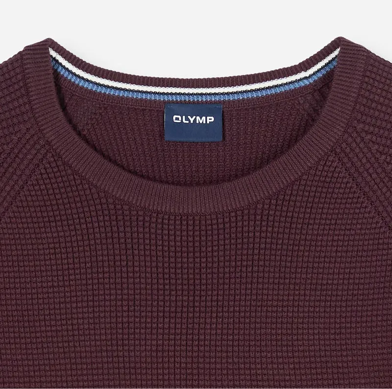 Pullover Strick