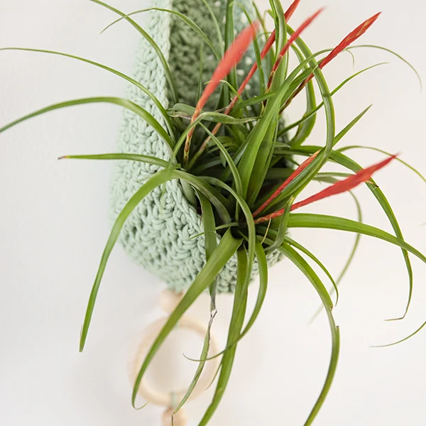 Homedeco Pflanzenhänger-Häkelpaket