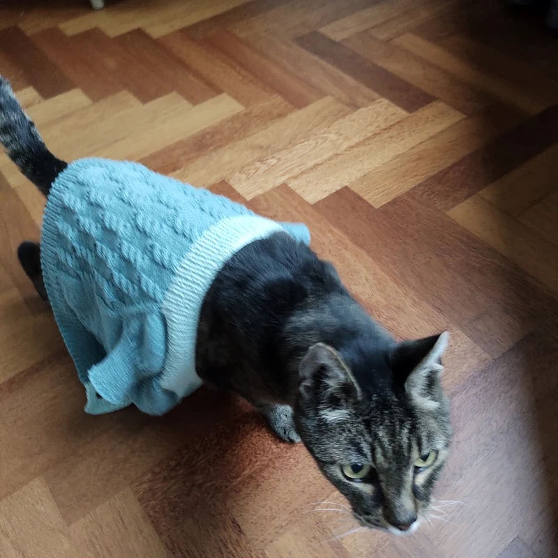 Strickanleitung „Fons Forever“