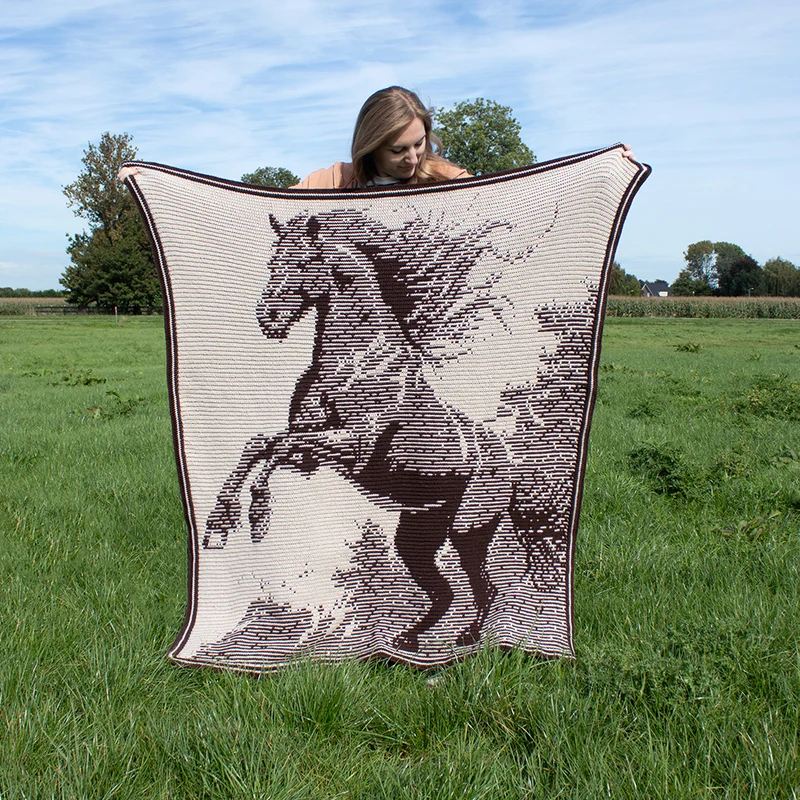 Häkelpaket für die „Free Spirit“-Decke – CrazyCrochetCatlady