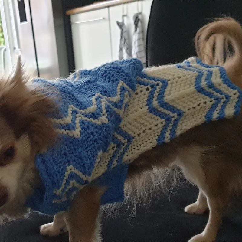 Strickanleitung „Dodges Hoodie“