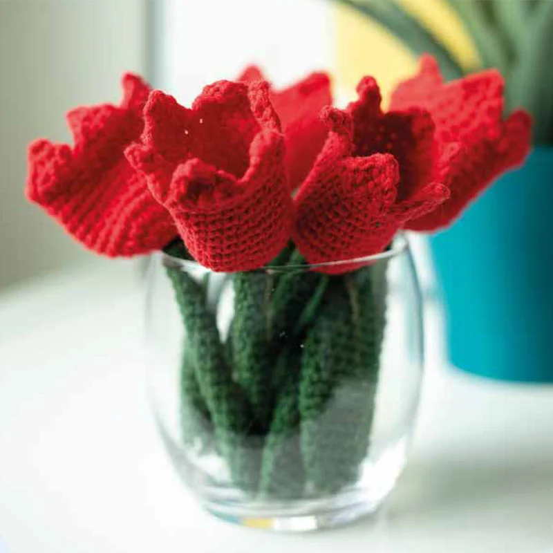 Dikkie Dik Tulpen-Garnpaket