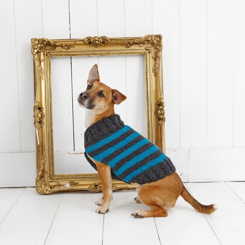 Strickanleitung Stylecraft Life Chunky Nr. 9179 Hundemantel