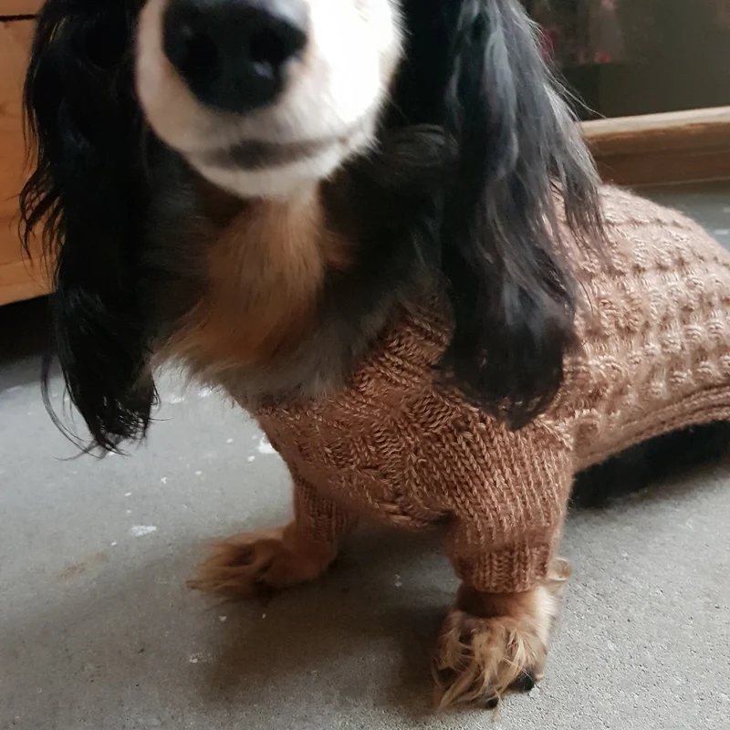Strickanleitung für den Zopfmusterpullover „Noor“