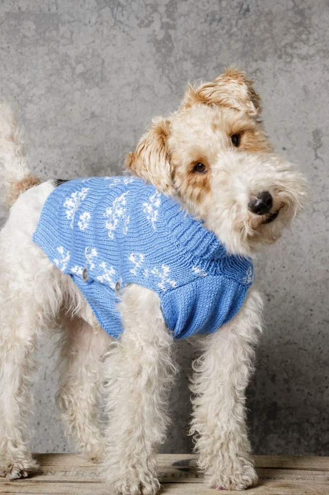 Strickanleitung Stylecraft Special DK Nr. 9311 Hundemantel