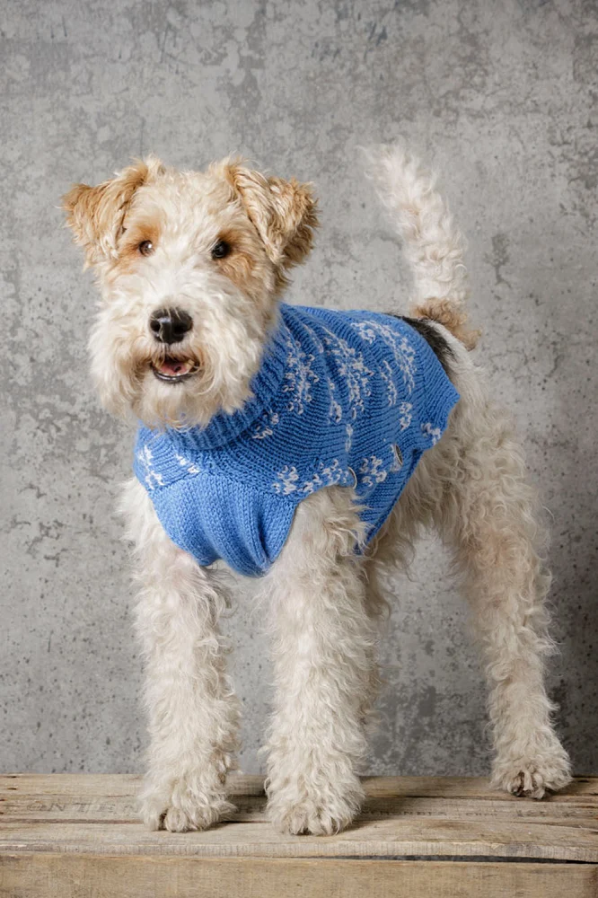 Strickanleitung Stylecraft Special DK Nr. 9311 Hundemantel