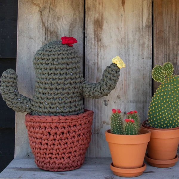 Häkelanleitung „Zpagetti XL Cactus“ (digital)