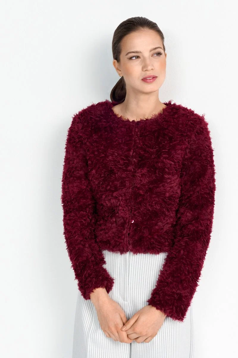 Short Lace Jacket