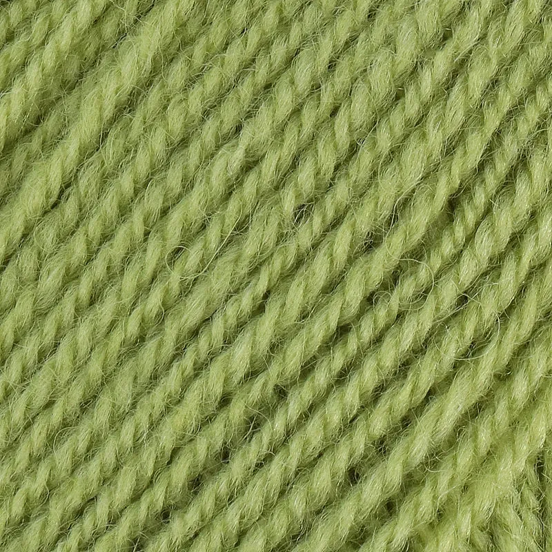 Stylecraft Life DK 2311 Fern