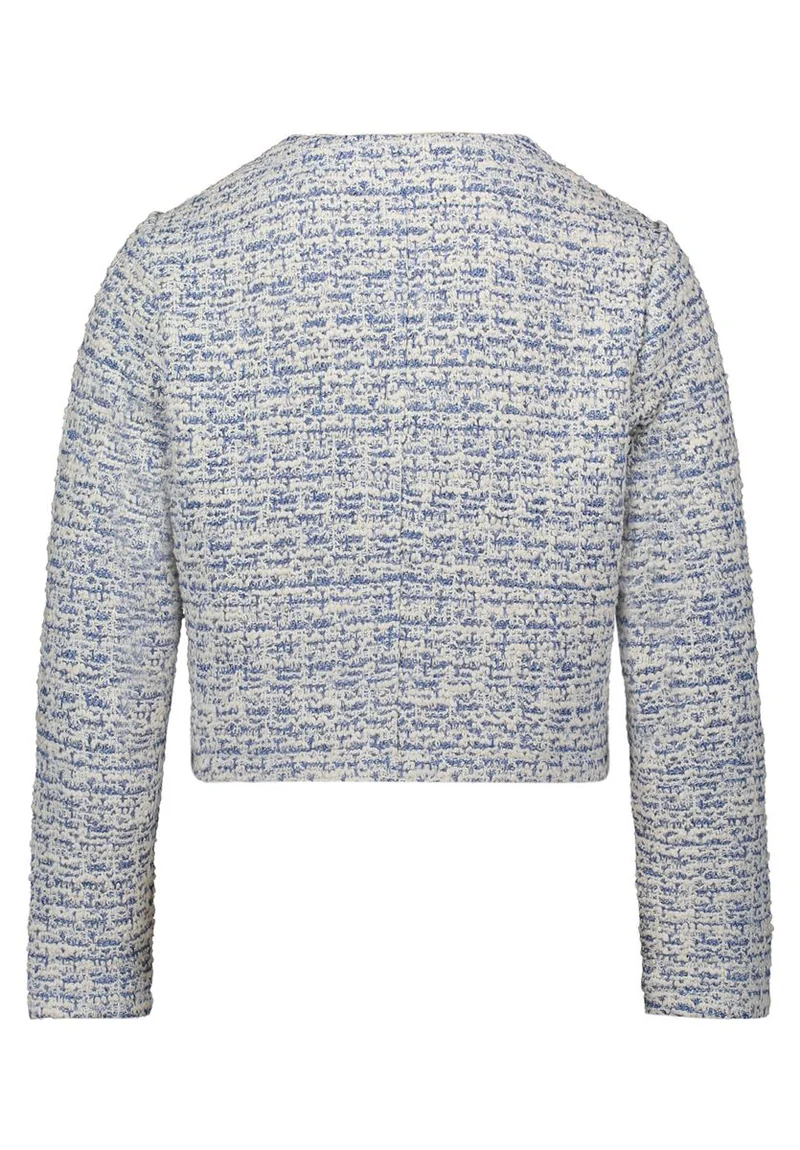 Blazer-Jacke