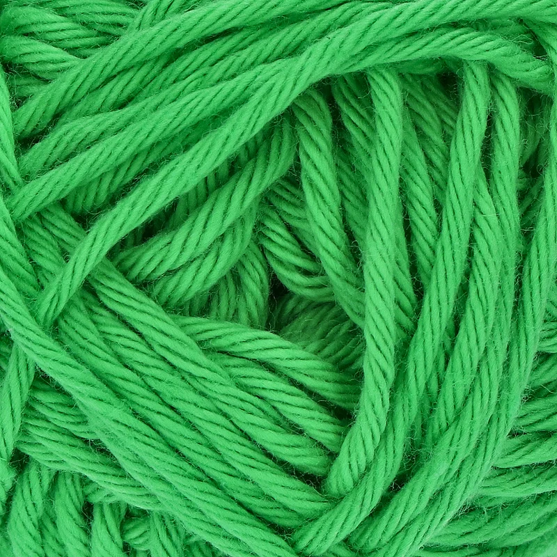 Yarn and Colors Epic 086 Peony Leaf