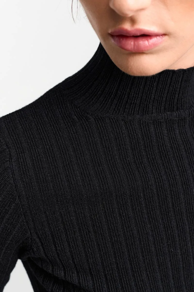 Turtle neck rib knit