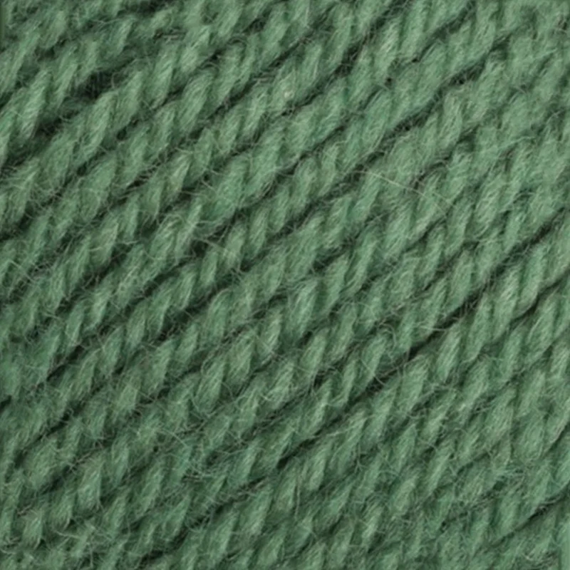Stylecraft Special Aran mit Wolle 3980 „Succulent“