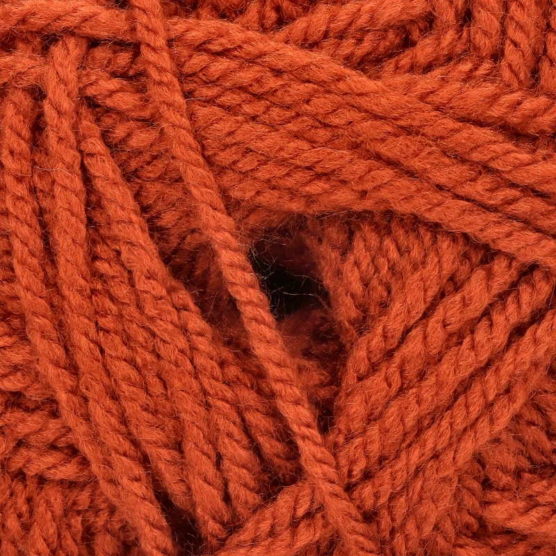 Stylecraft Special Aran 1029 Kupfer