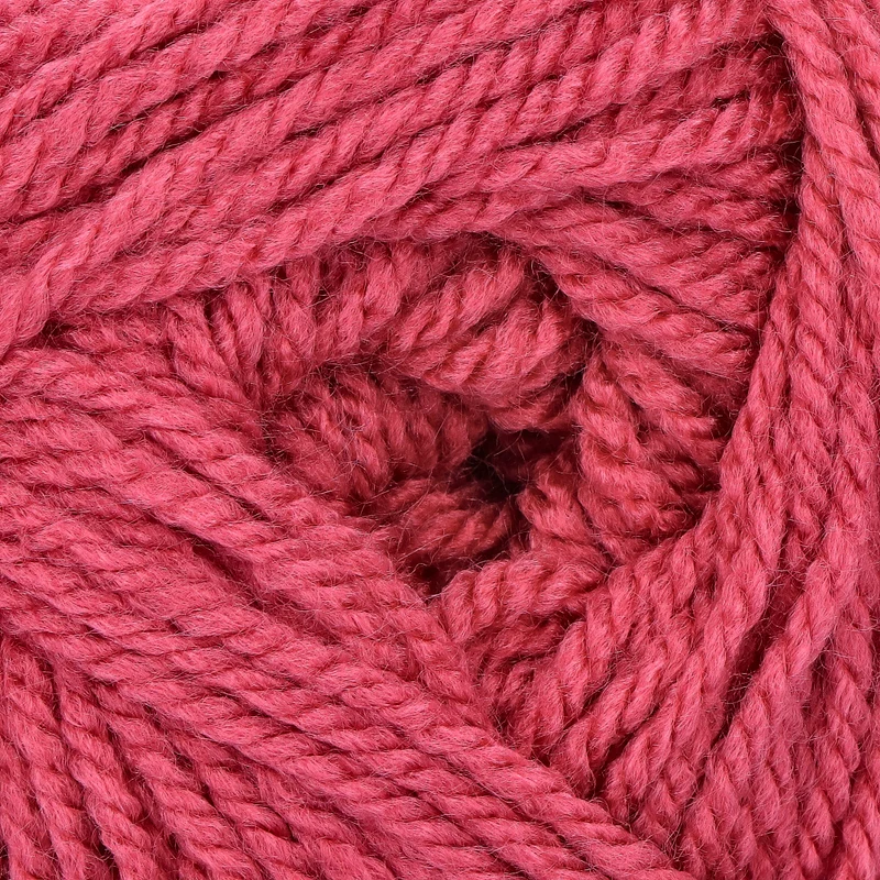 Stylecraft Special Aran 1023 Himbeere