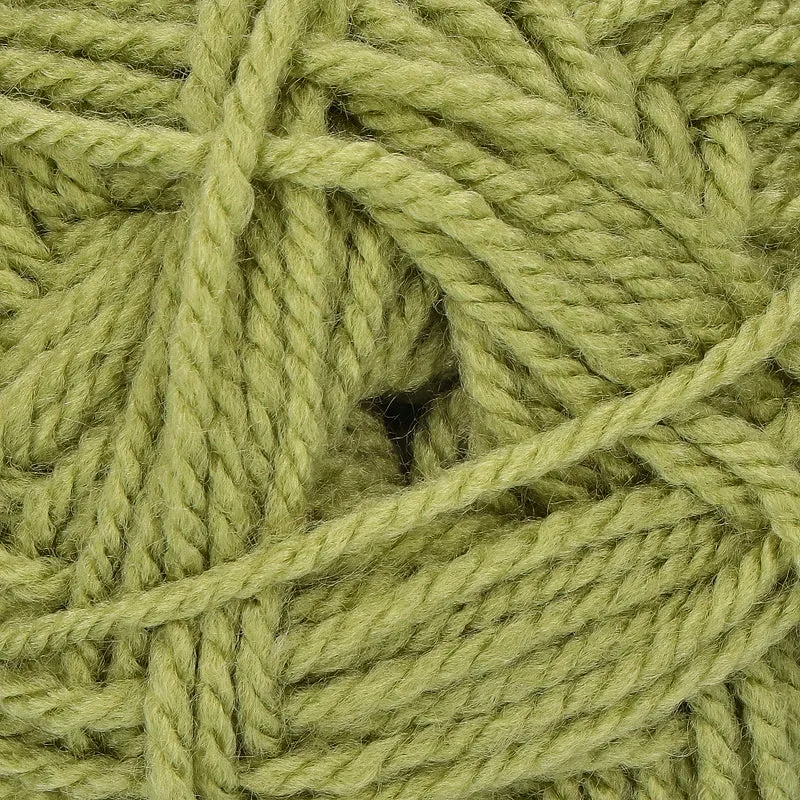 Stylecraft Special Aran 1065 Meadow