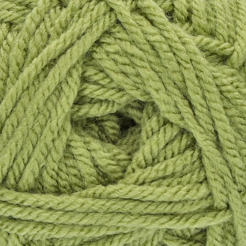 Stylecraft Special Chunky 1065 Meadow