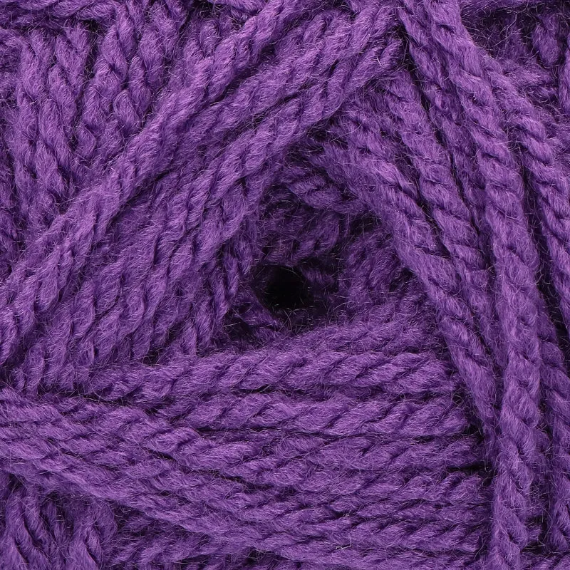 Stylecraft Special Aran 1855 Proper Purple
