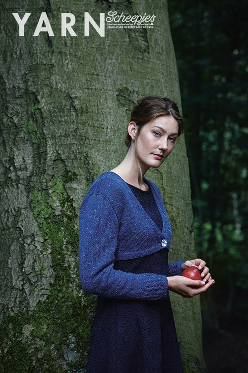 Scheepjes YARN Bookazine 2 Midnight Garden