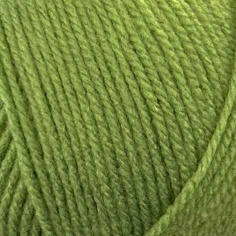 Stylecraft Special DK 2176 Leaf